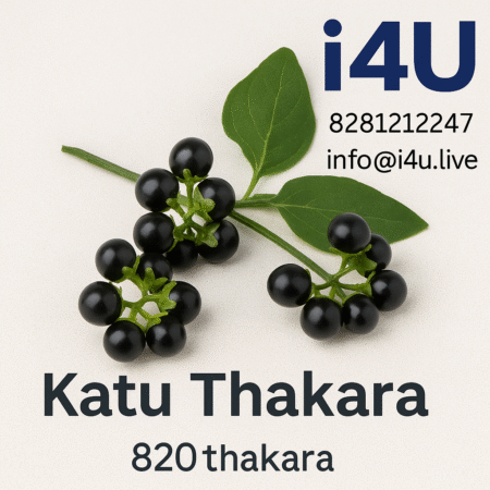 black nightshade