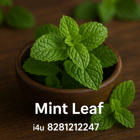 Mint Leaf Powder