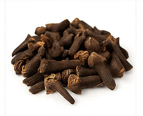 Clove