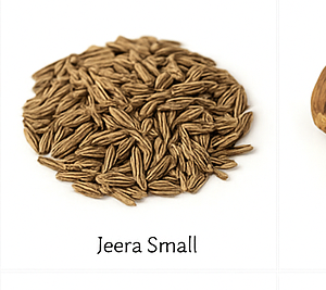 SaJeera