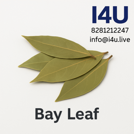 BayLeaf
