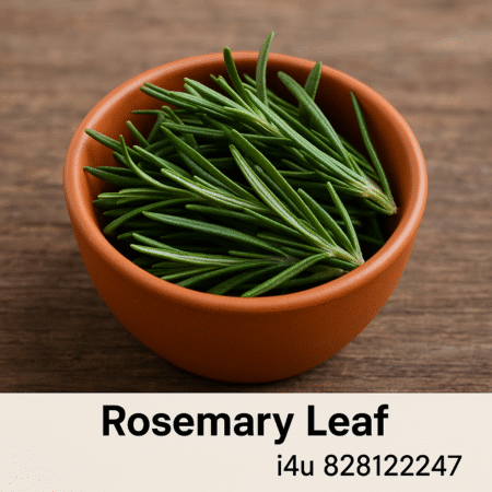 Rosemary Leaf