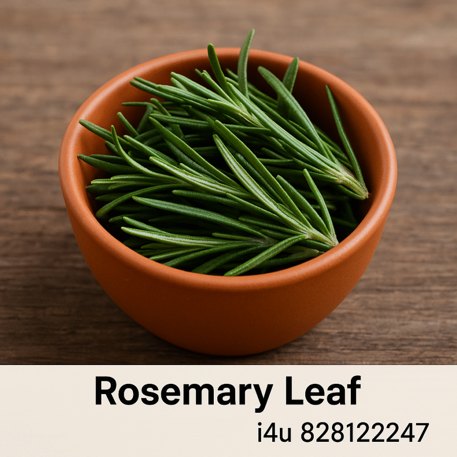 Rosemary Leaf